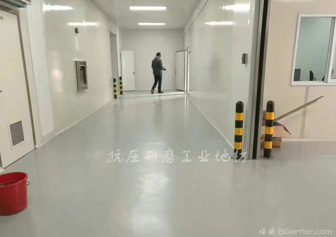 无尘洁净车间地板地面材料